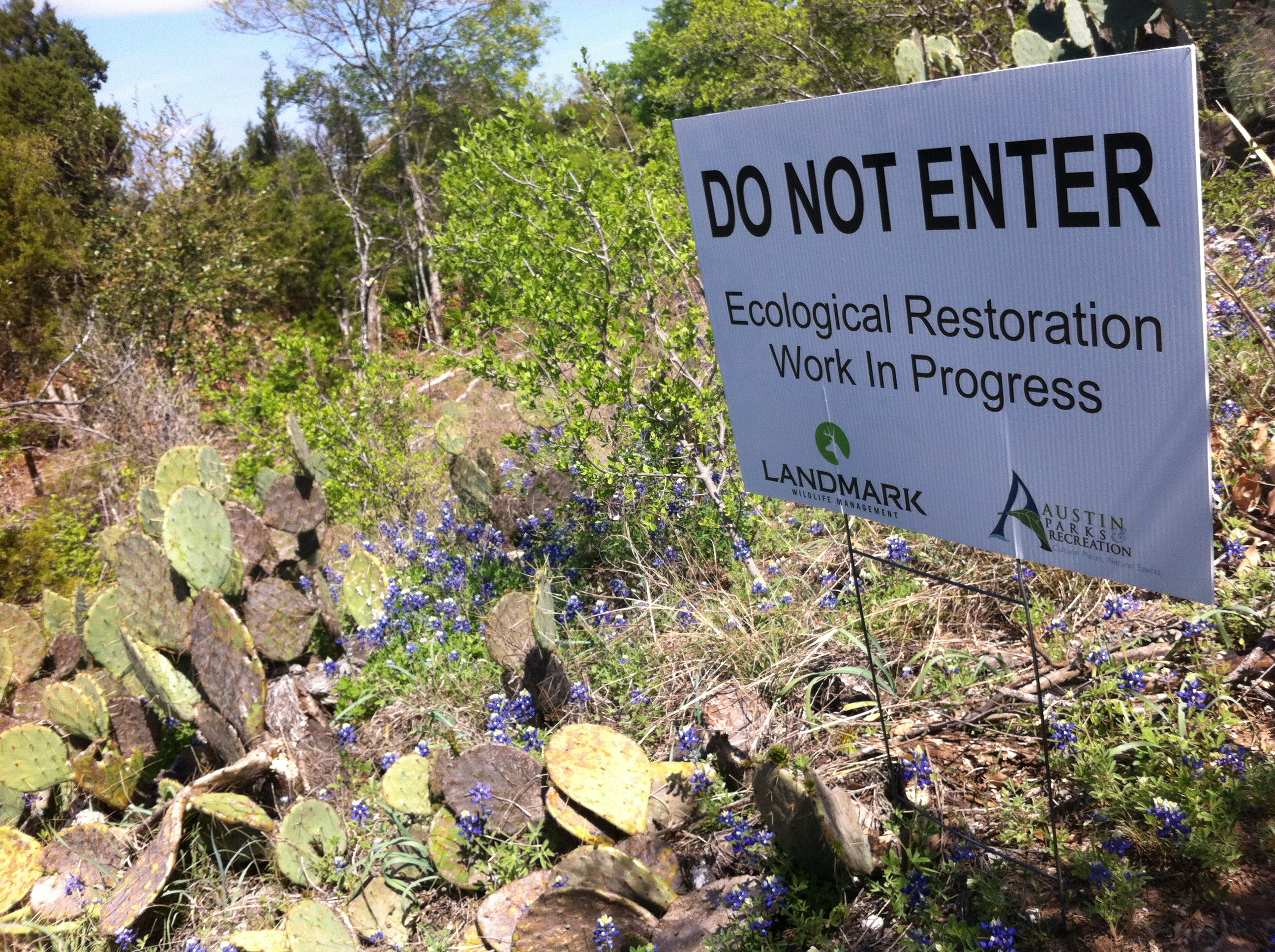 Blunn Creek Nature Preserve Restoration Project