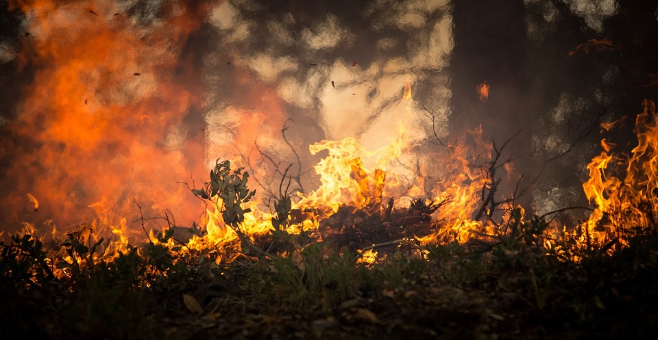 Texas Wildfires: Risks and Resources