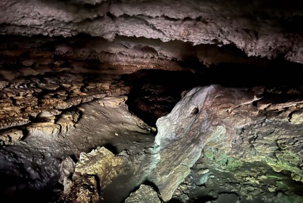 Pecan Springs Cave and Karsts.